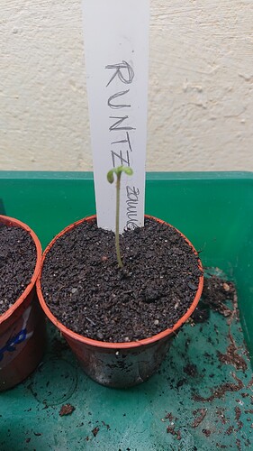 Growreport Bild 60