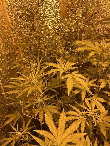 Growreport Bild 8