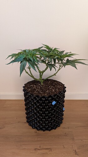 Growreport Bild 11