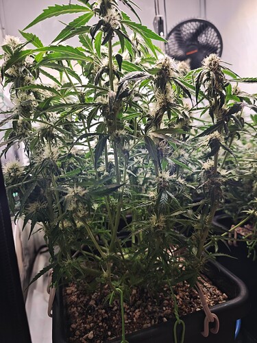 MVIMG_20251105_164548