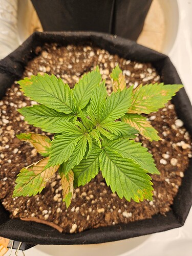 Growreport Bild 14