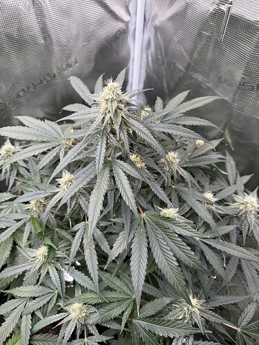 Growreport Bild 10