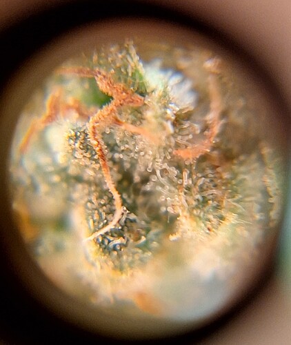 Growreport Bild 24