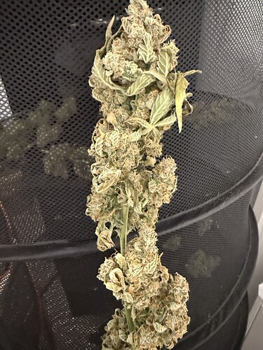 Growreport Bild 17