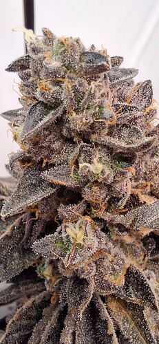 Growreport Bild 17