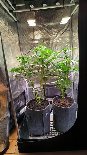 Growreport Bild 21