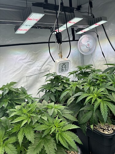Growreport Bild 34
