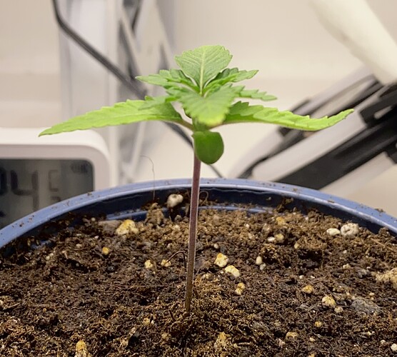 Growreport Bild 21