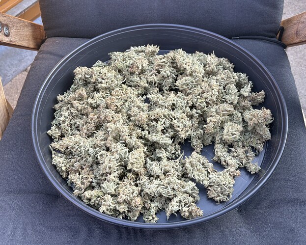 Growreport Bild 26