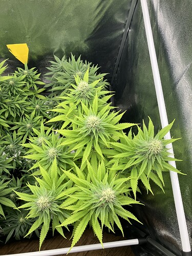 Growreport Bild 8