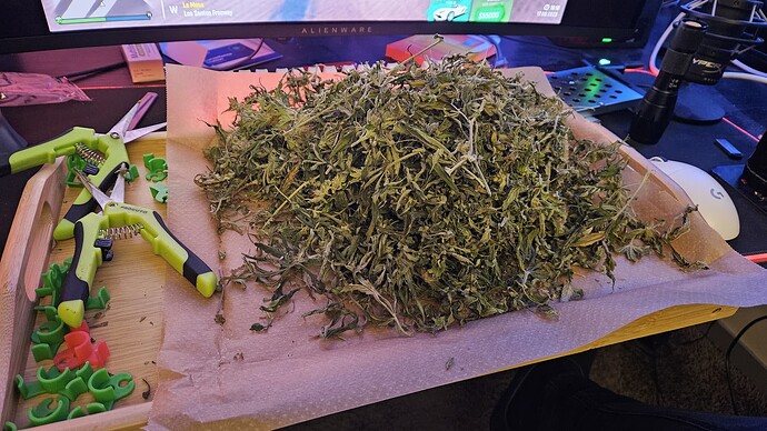Growreport Bild 3