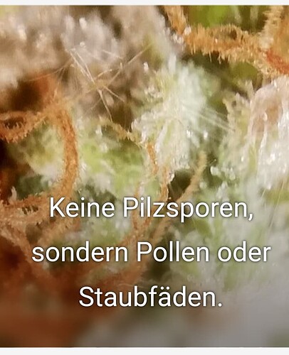 Screenshot_20251025-233918_(1)