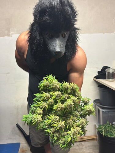 Growreport Bild 71