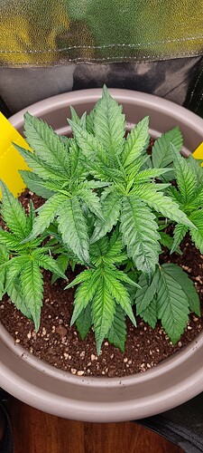 Growreport Bild 12