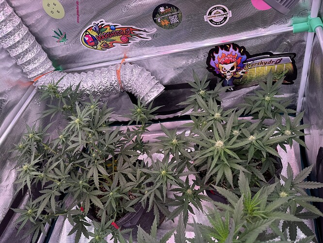 Growreport Bild 10
