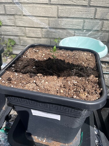 Growreport Bild 5