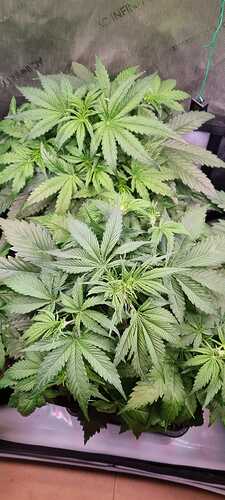 WhatsApp Image 2025-12-16 at 12.54.00 (5)