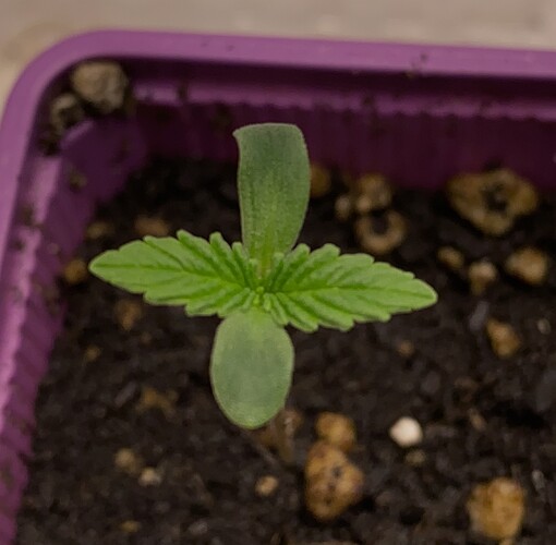 Growreport Bild 14