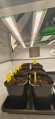 Growreport Bild 15