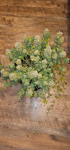 Growreport Bild 9