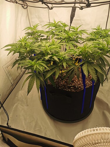 Growreport Bild 10