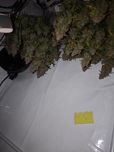 MVIMG_20251204_200740