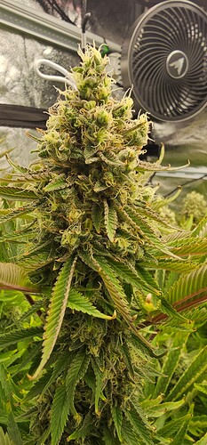 Growreport Bild 22