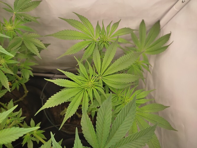 Growreport Bild 10