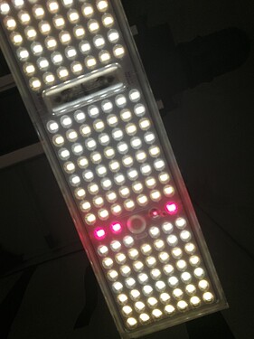 Growreport Bild 4