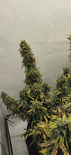 Growreport Bild 19