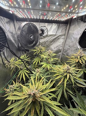 Growreport Bild 1