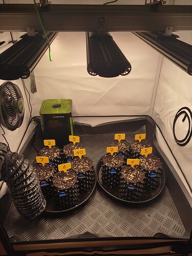 Growreport Bild 15
