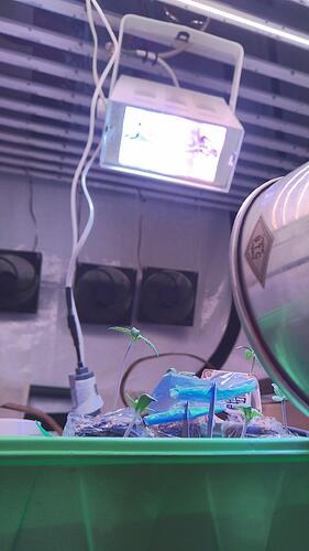 IMG_20240421_024524_HDR