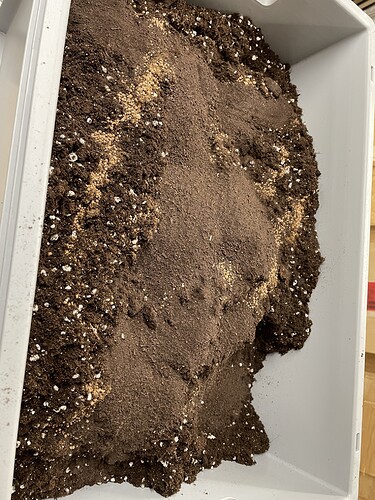Growreport Bild 3