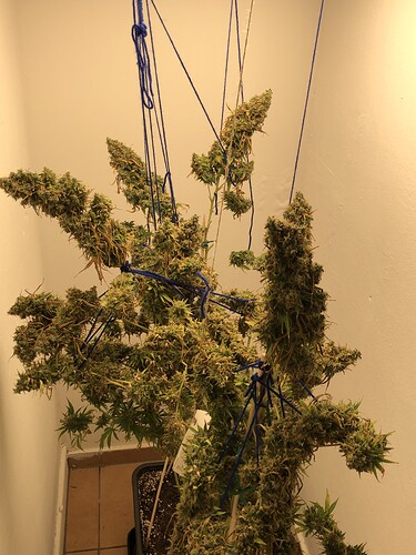 Growreport Bild 2