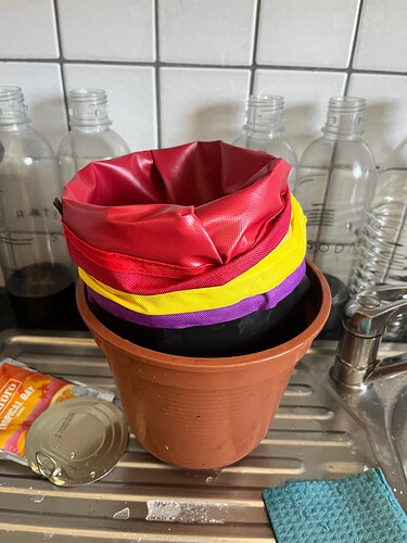 Growreport Bild 3