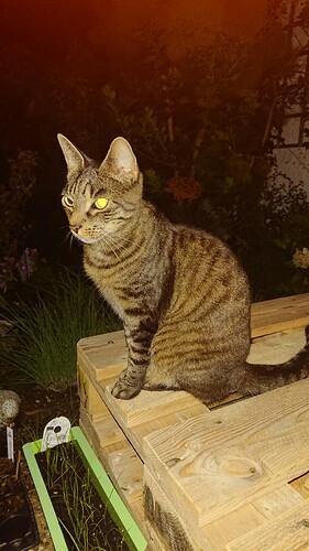 Growreport Bild 8