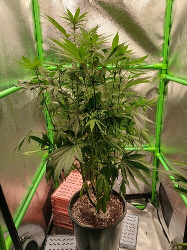 Growreport Bild 8