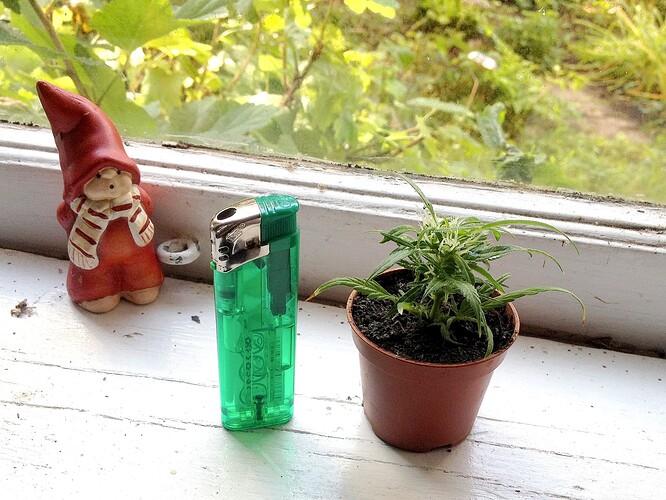 Growreport Bild 7