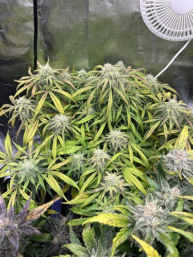 Growreport Bild 7