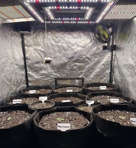 Growreport Bild 1