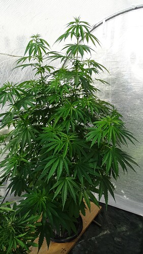 Growreport Bild 14