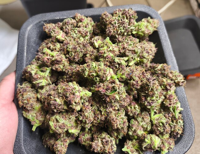 Growreport Bild 10