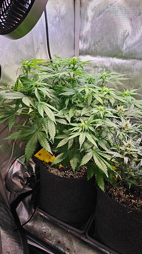 Growreport Bild 1