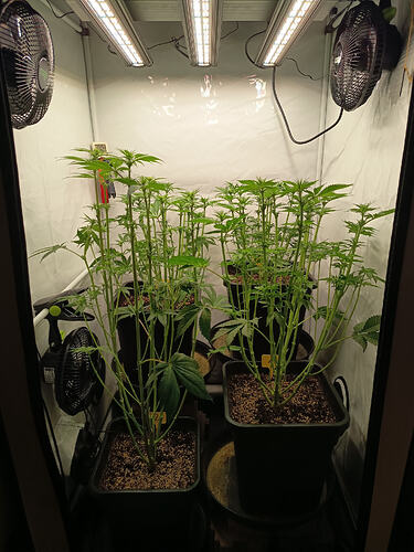 Growreport Bild 13