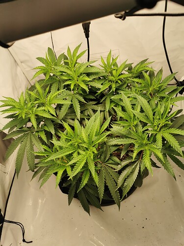Growreport Bild 11