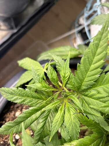 Growreport Bild 8