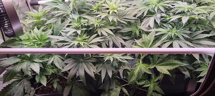 Growreport Bild 14