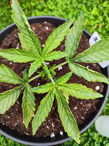 Growreport Bild 13