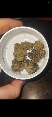 Screenshot_2024-09-17-22-14-09-942_com.whatsapp